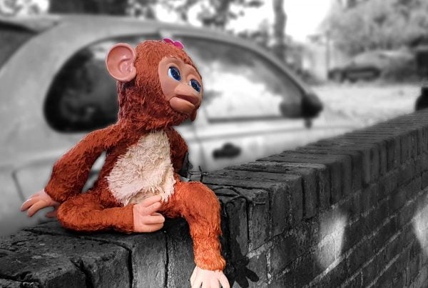 A Toy's Story photography collection thumbnail