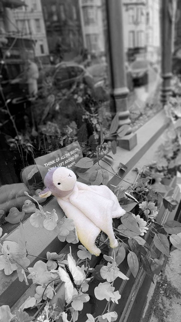 Little Boo Peep has lost a sheep, Hastings, Sussex