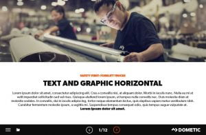Dometic elearning project page